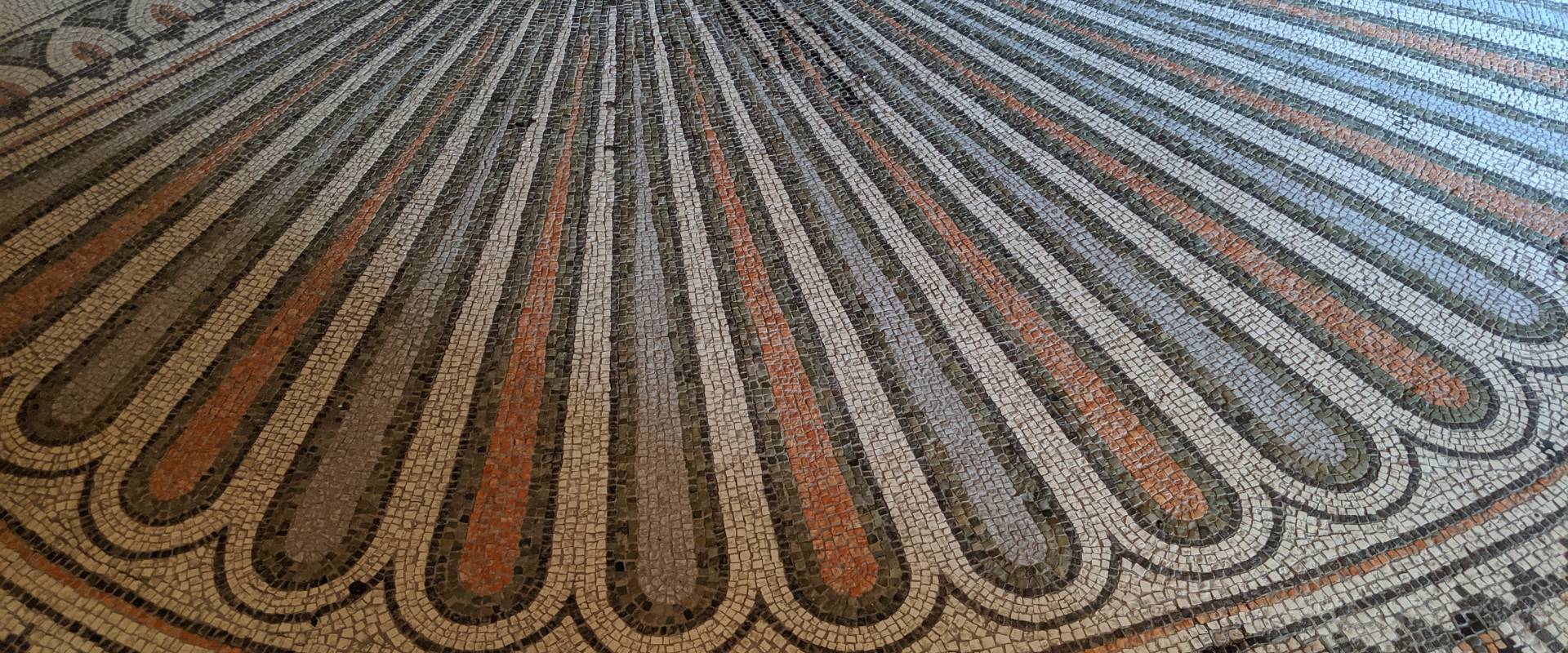 San Vitale Shell-Like Floor Mosaic foto di Conor Manley